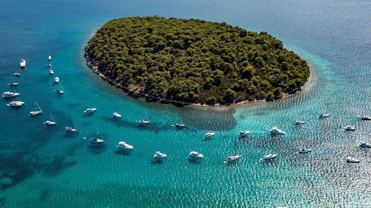 Photo of Others in Molat