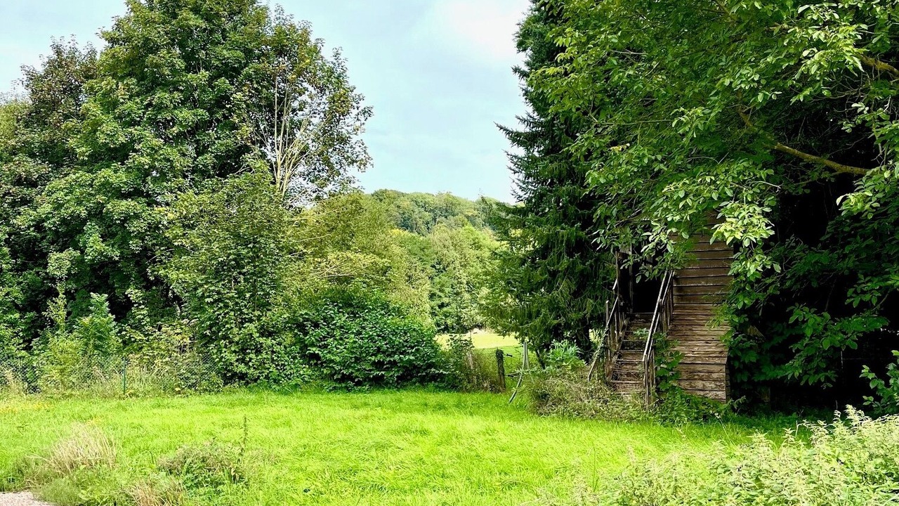 Photo of Outdoor in Fry