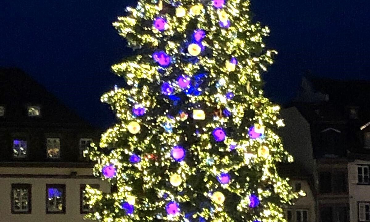 Photo of Others in Schiltigheim