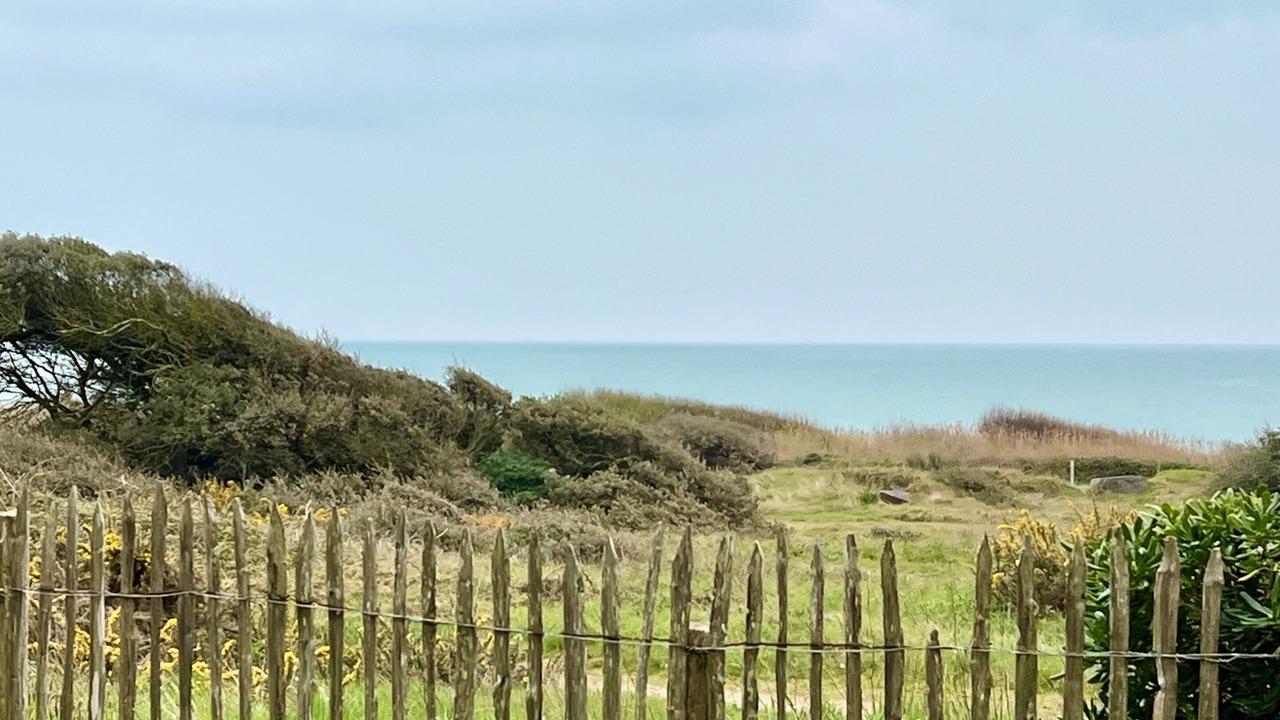 Photo of Others in Chateau-d'Olonne