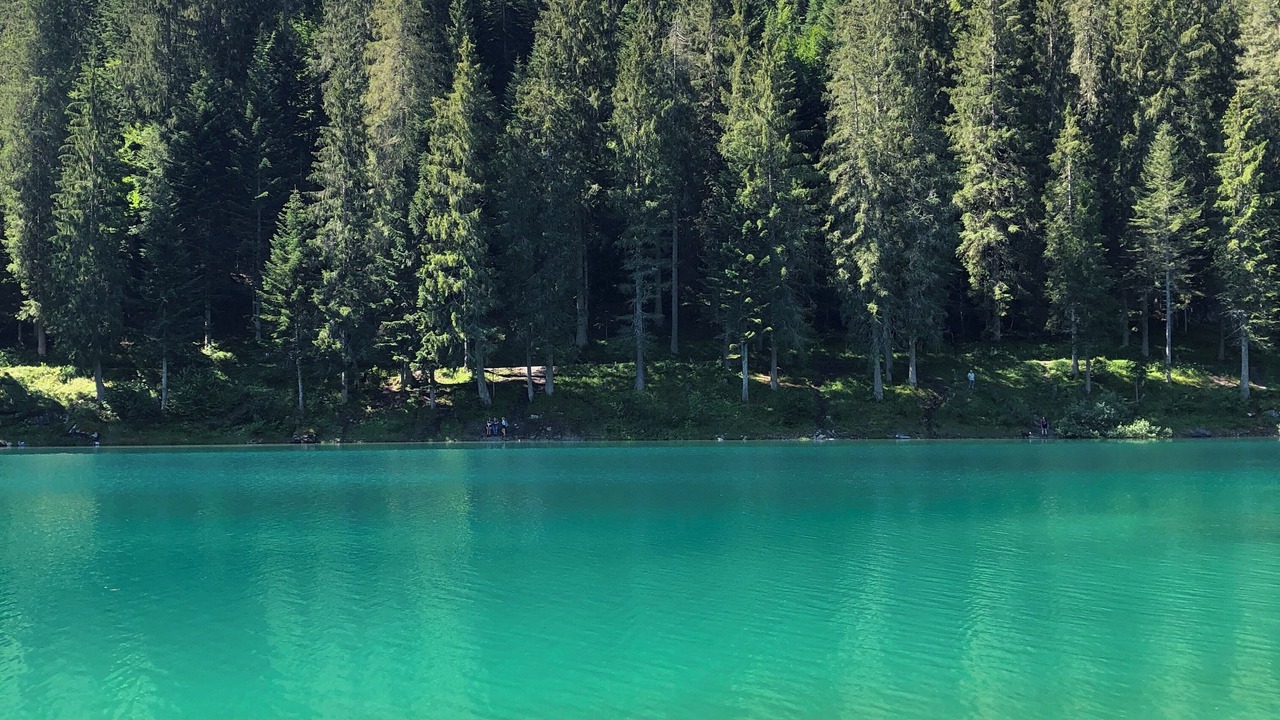 Photo of Others in Flims