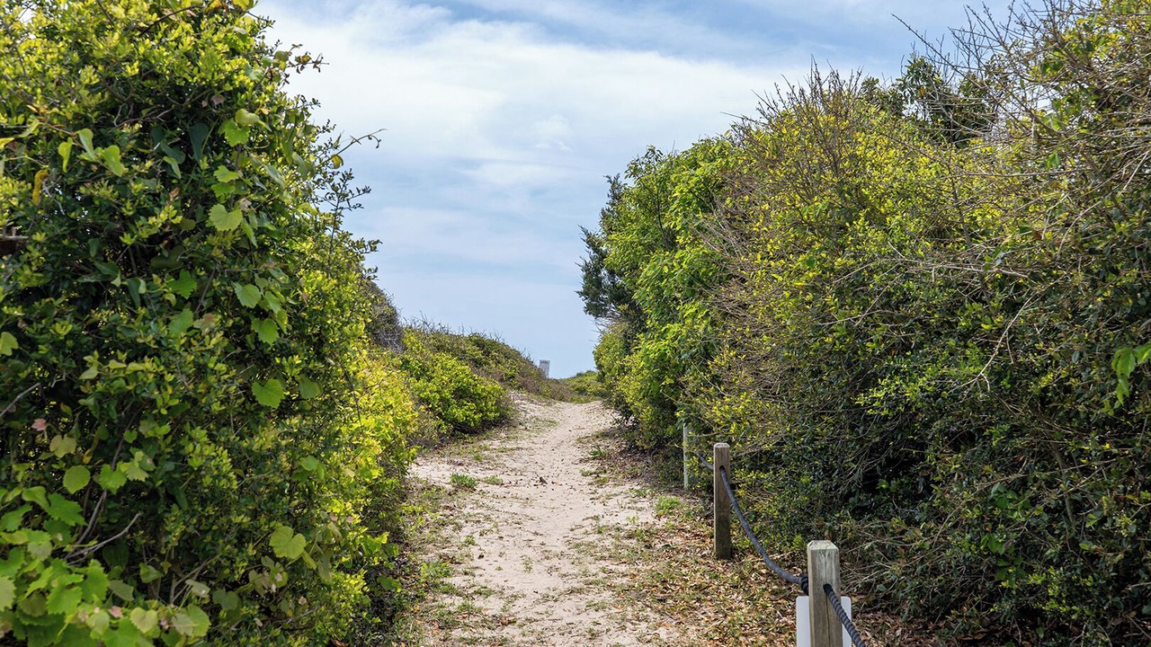 Photo of Others in Salter Path