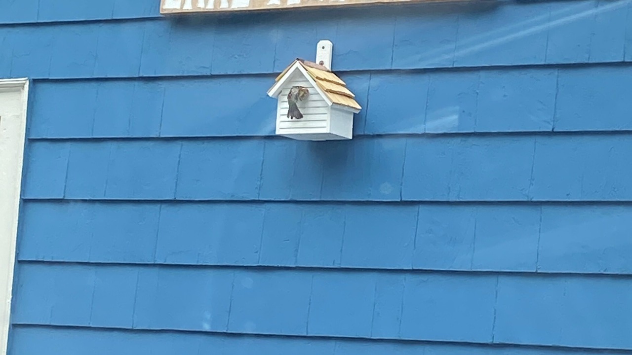 Photo of Outdoor in Amesbury