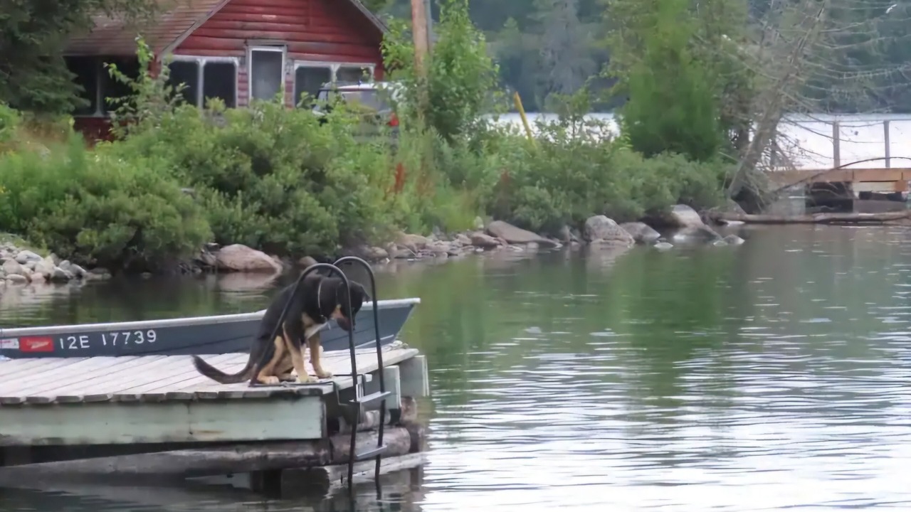 Photo of Others in Sioux Narrows Nestor Falls