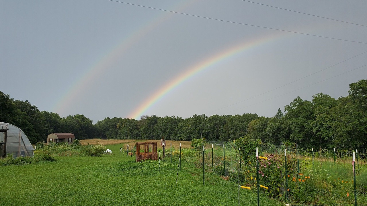 Photo of Outdoor in Dunlap