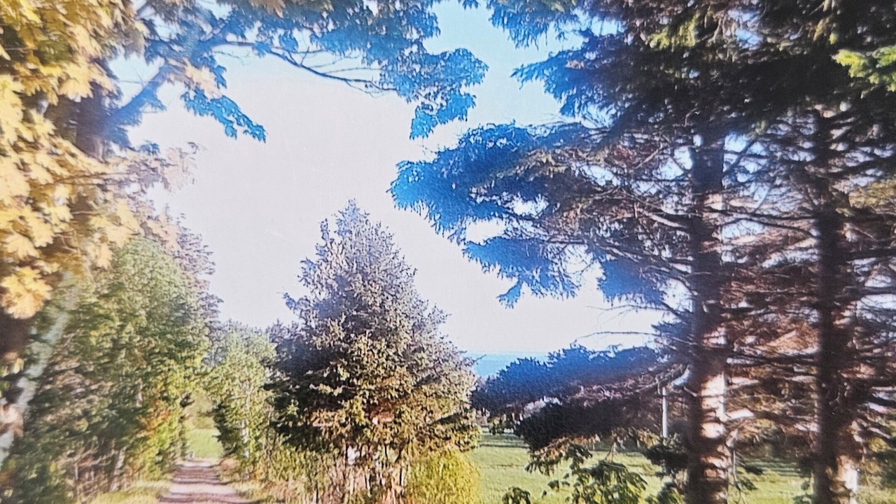 Photo of Others in Bonshaw