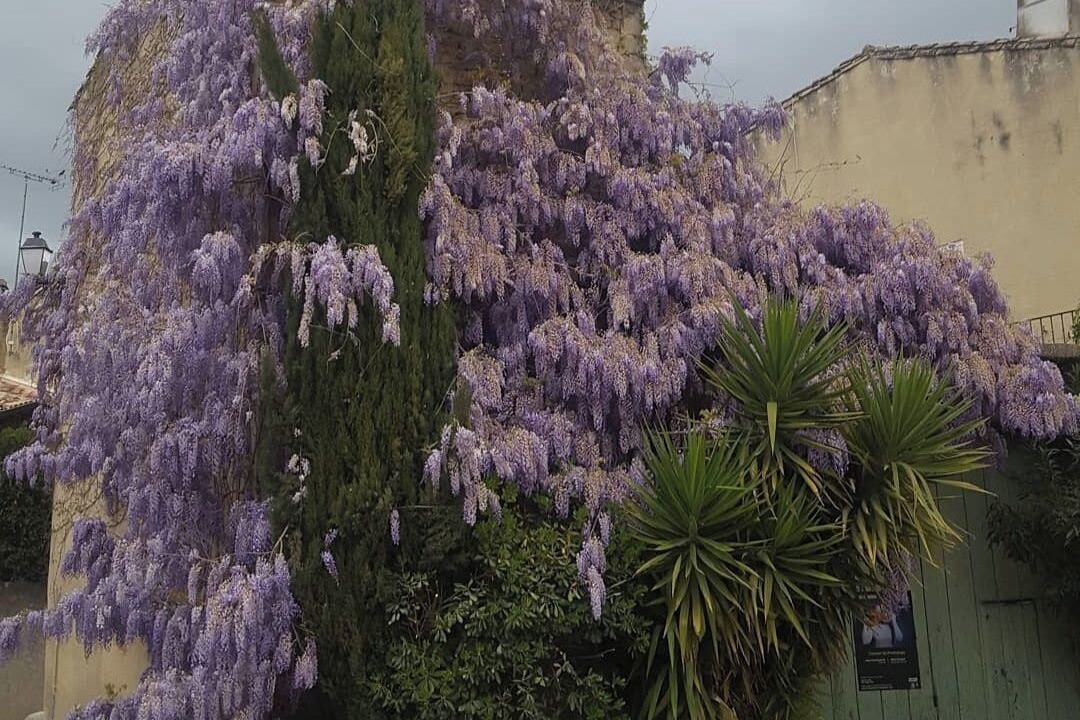 Photo of Others in Aigues-Vives