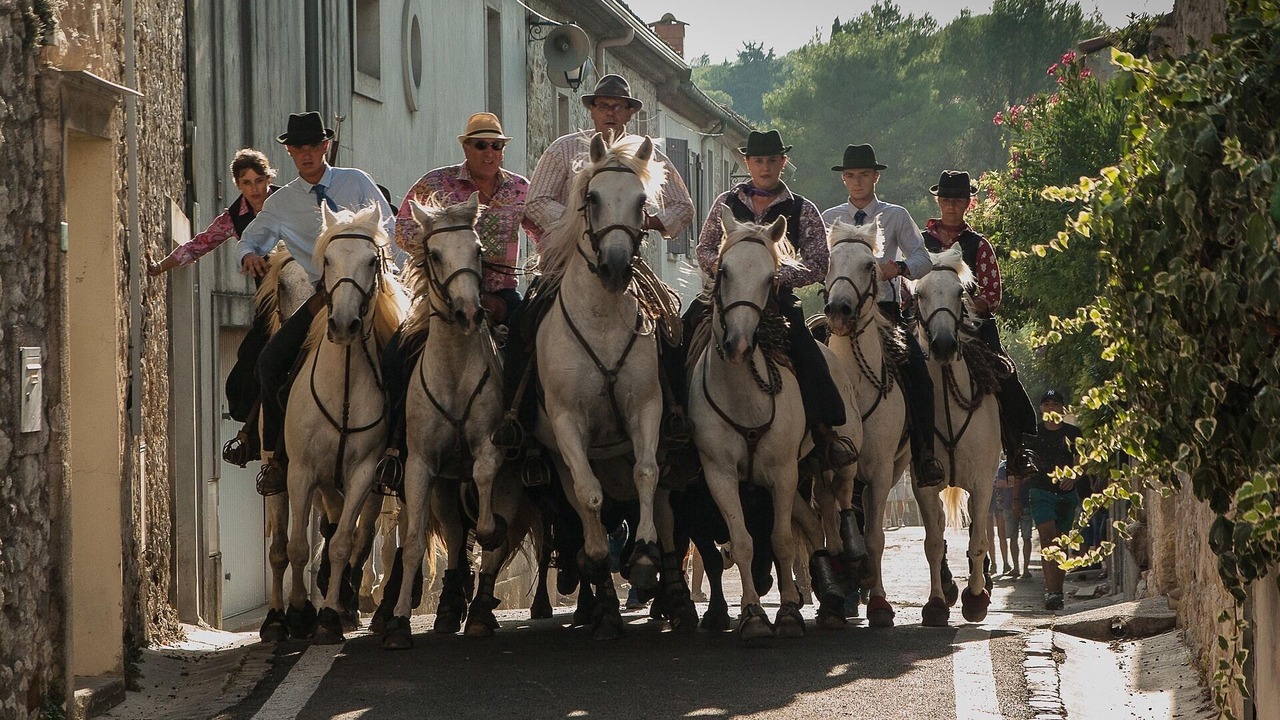 Photo of Others in Aigues-Vives