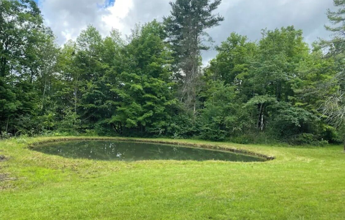 Photo of Others in Hinesburg