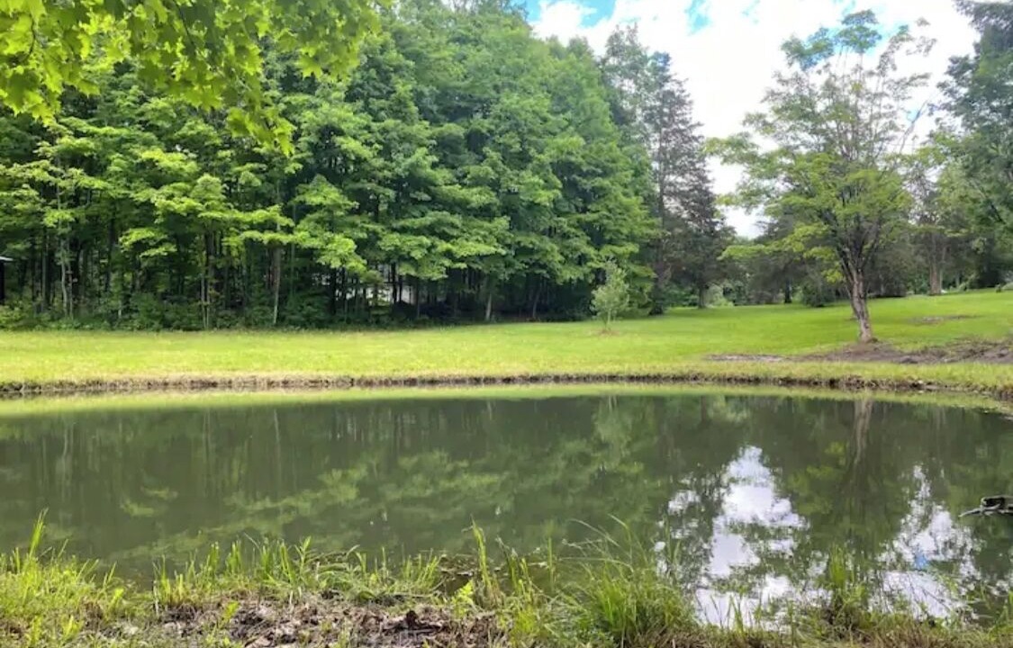 Photo of Others in Hinesburg