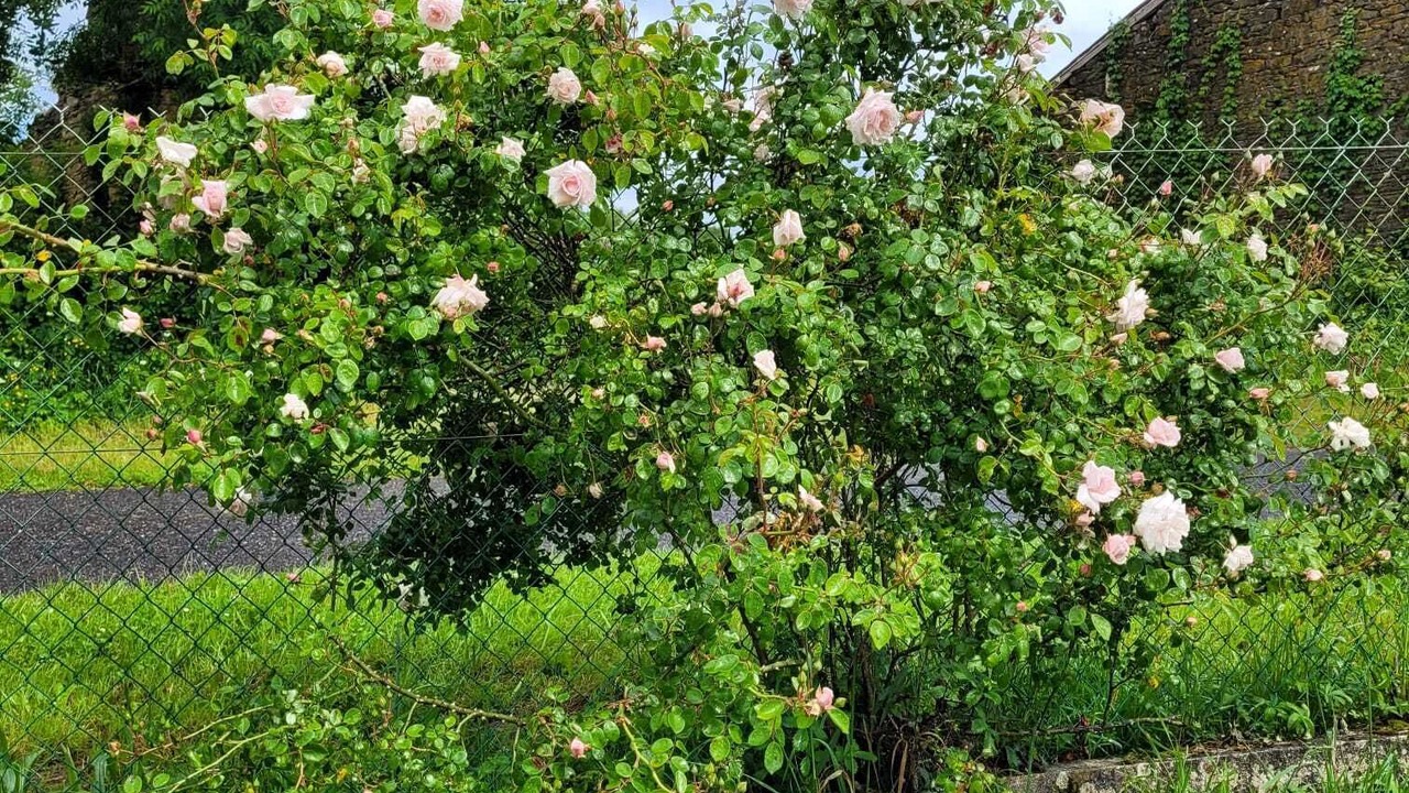 Photo of Outdoor in Darnac