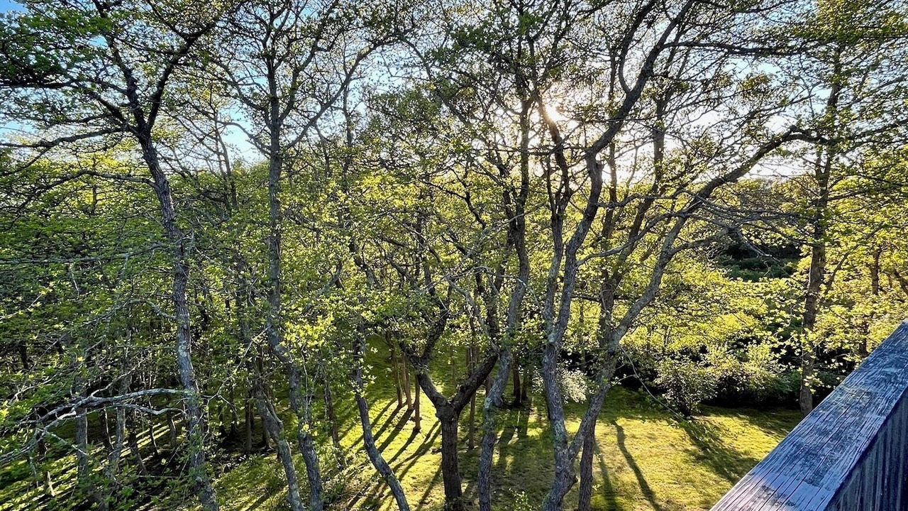 Photo of Outdoor in Aquinnah