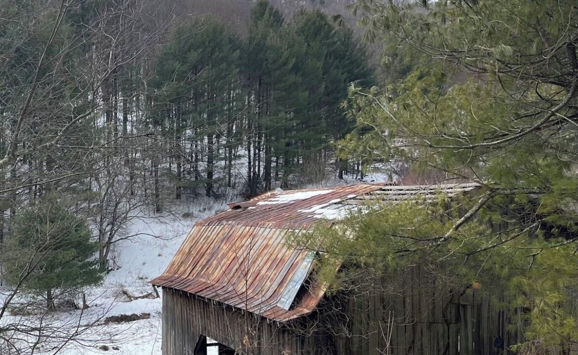 Photo of Outdoor in Lansing