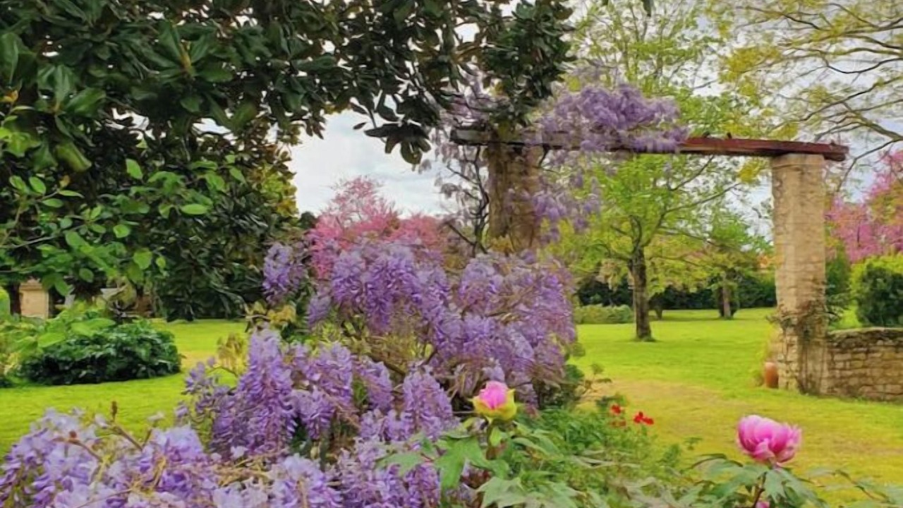 Photo of Outdoor in Lucon