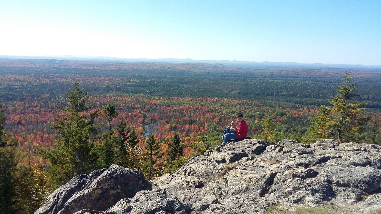 Photo of Others in New Sweden