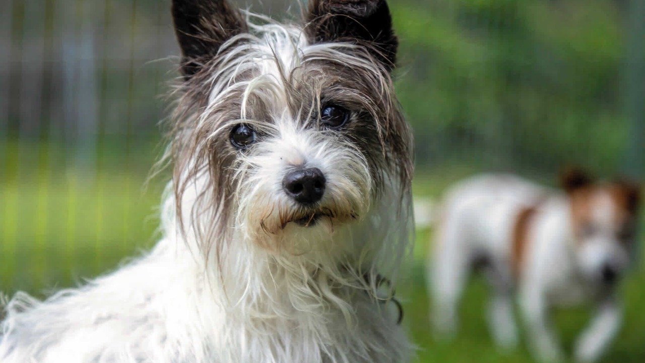 Photo of Others in Tuross Head