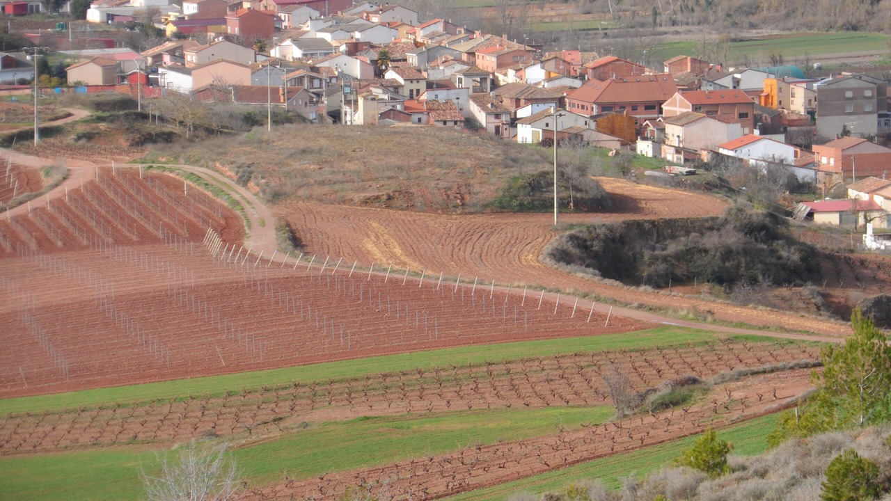 Photo of Others in Cardenas