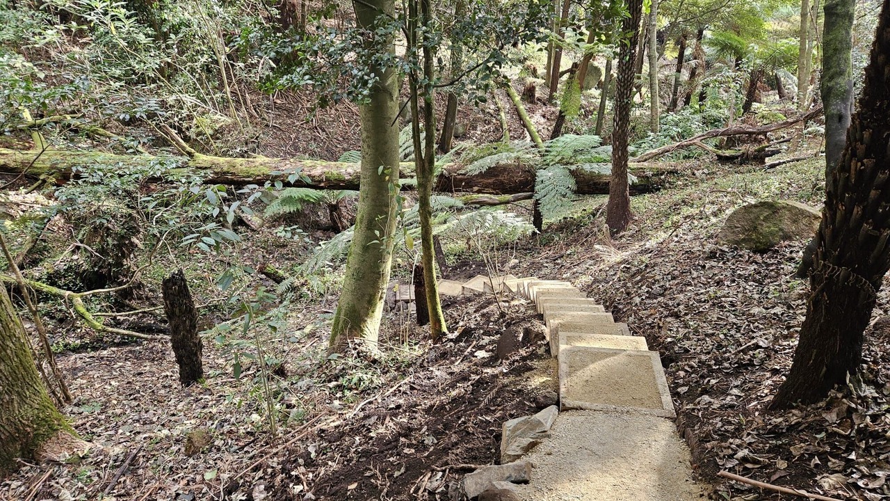 Photo of Outdoor in Warburton