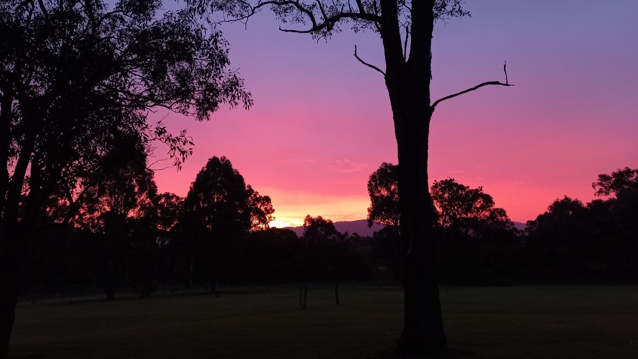 Photo of Others in Nulkaba