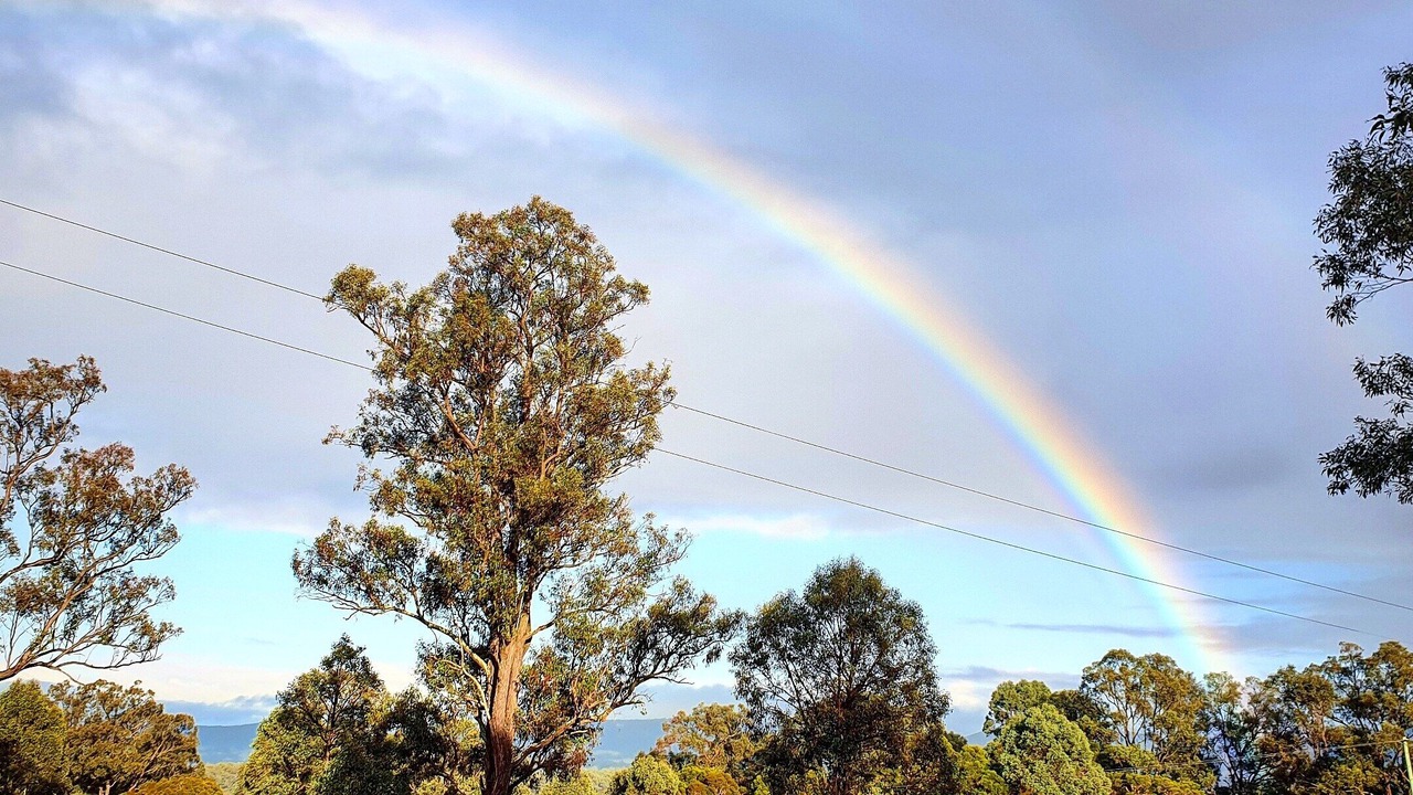 Photo of Others in Nulkaba