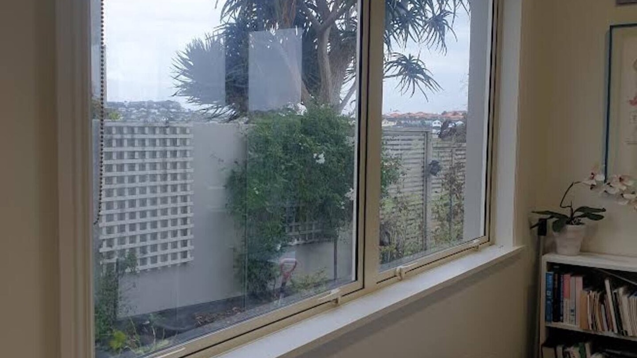 Photo of Others in Gulf Harbour