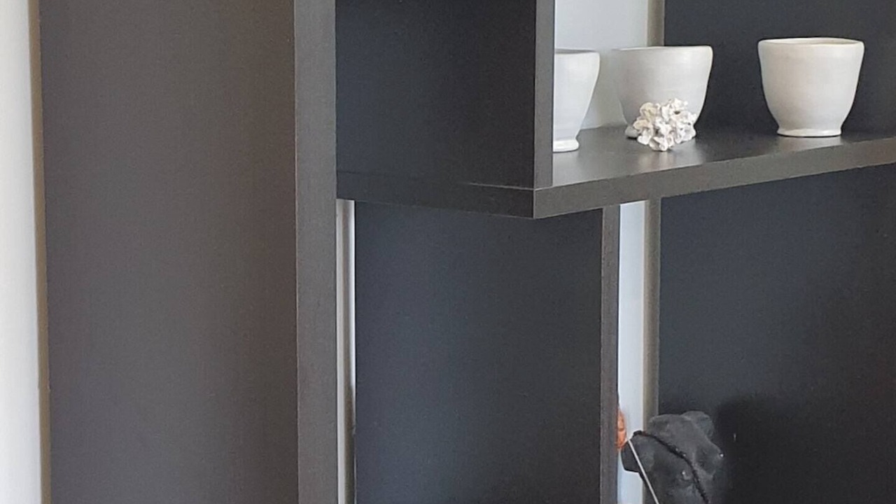 Photo of Others in Gulf Harbour