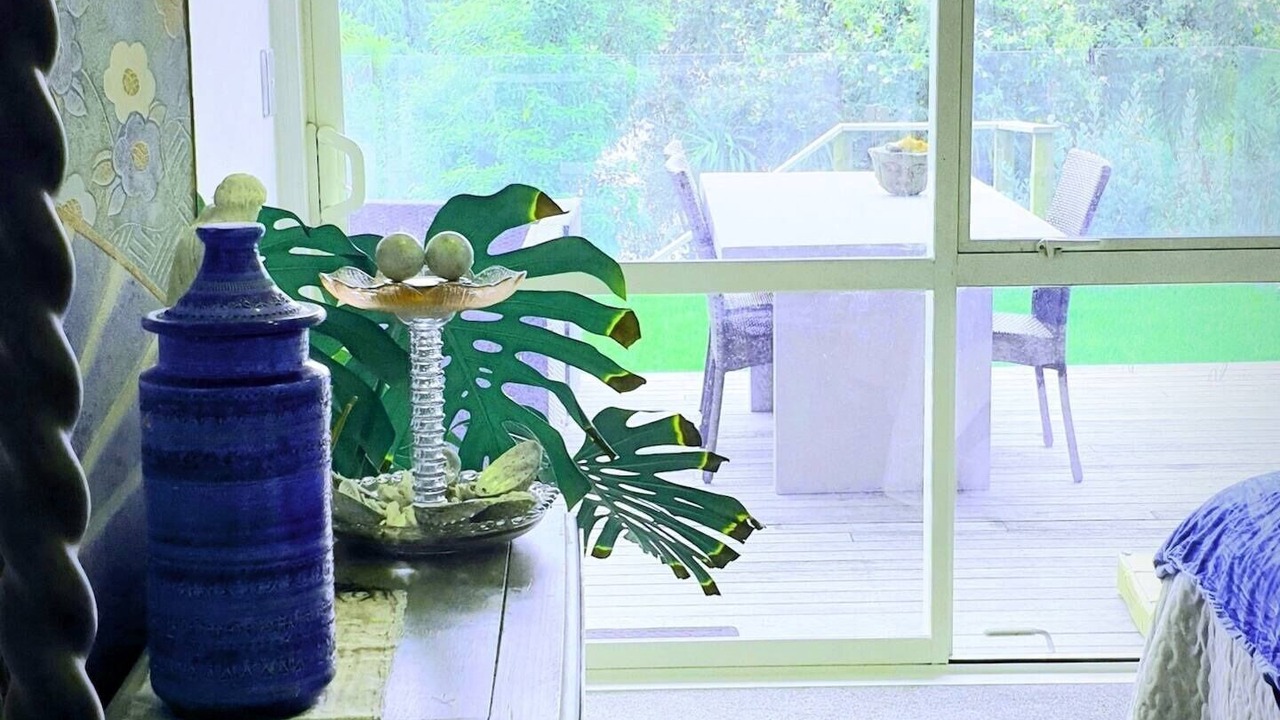 Photo of Others in Gulf Harbour