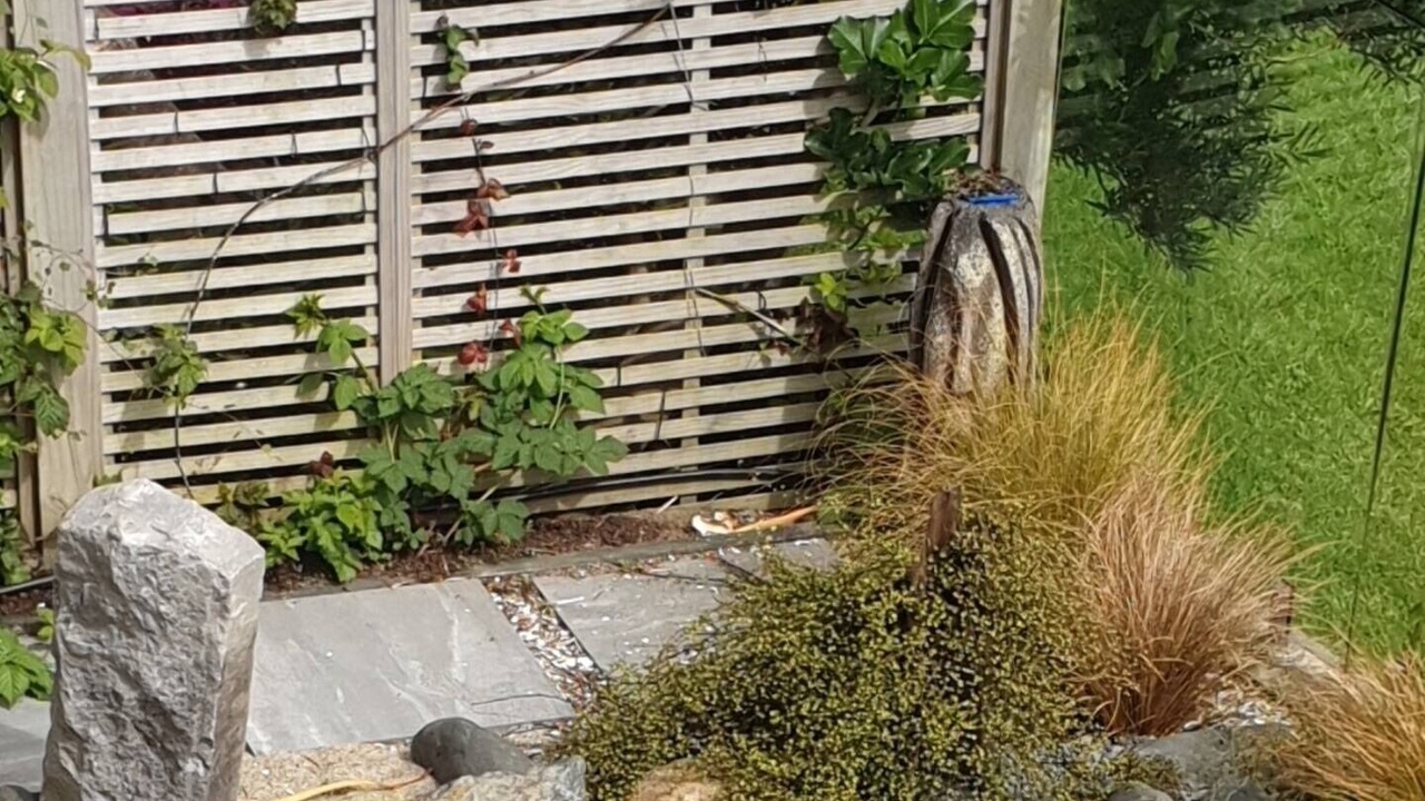 Photo of Outdoor in Gulf Harbour