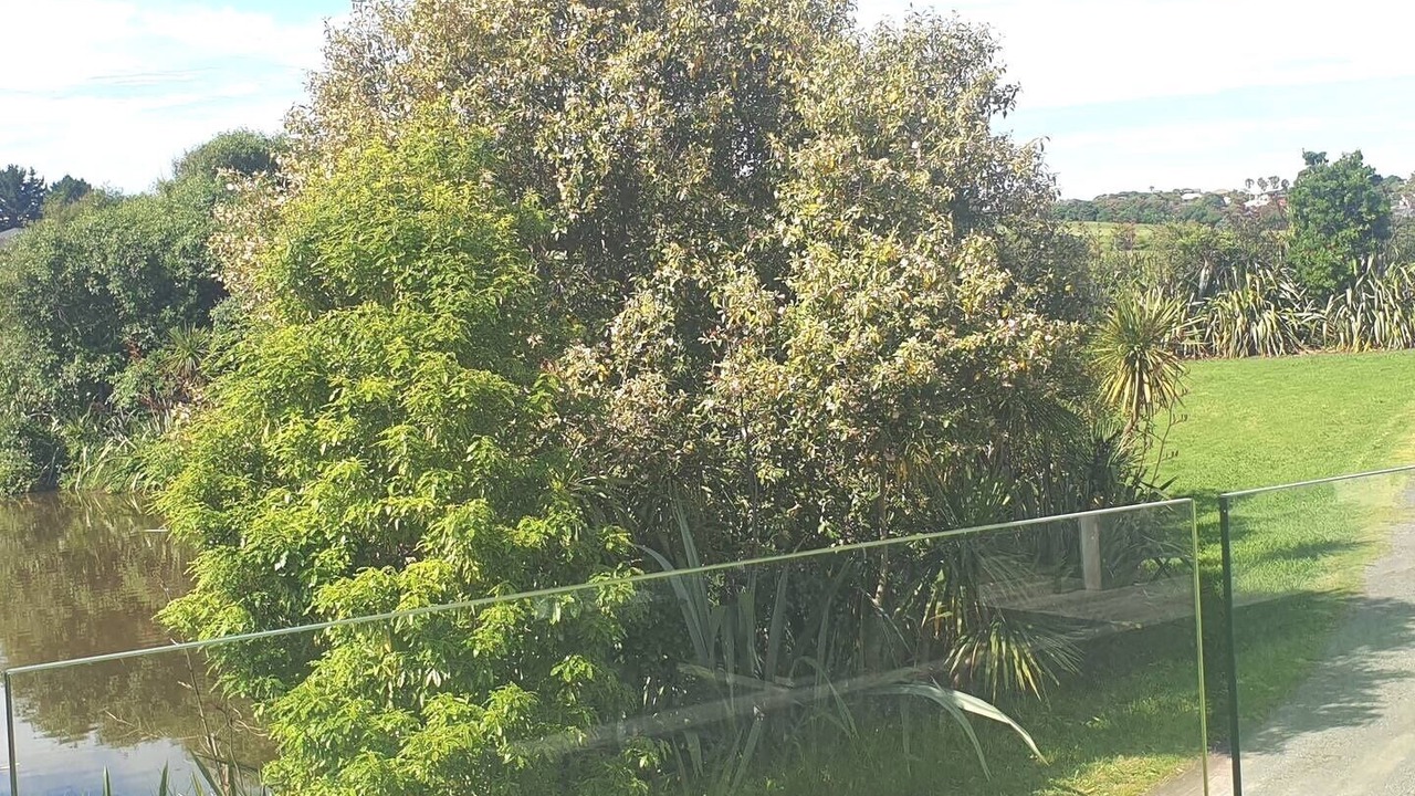 Photo of Others in Gulf Harbour