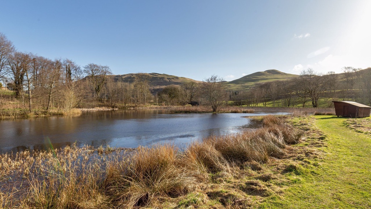Photo of Others in Maybole