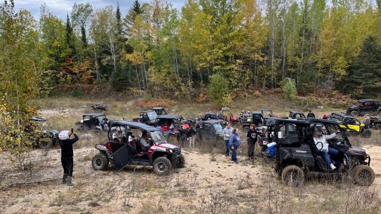 Photo of Others in Cook