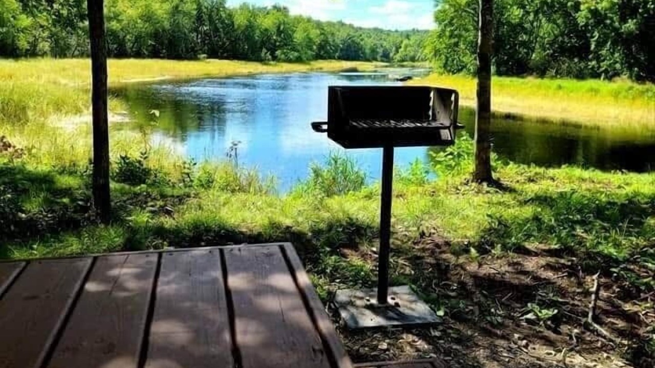 Photo of Outdoor in Cook