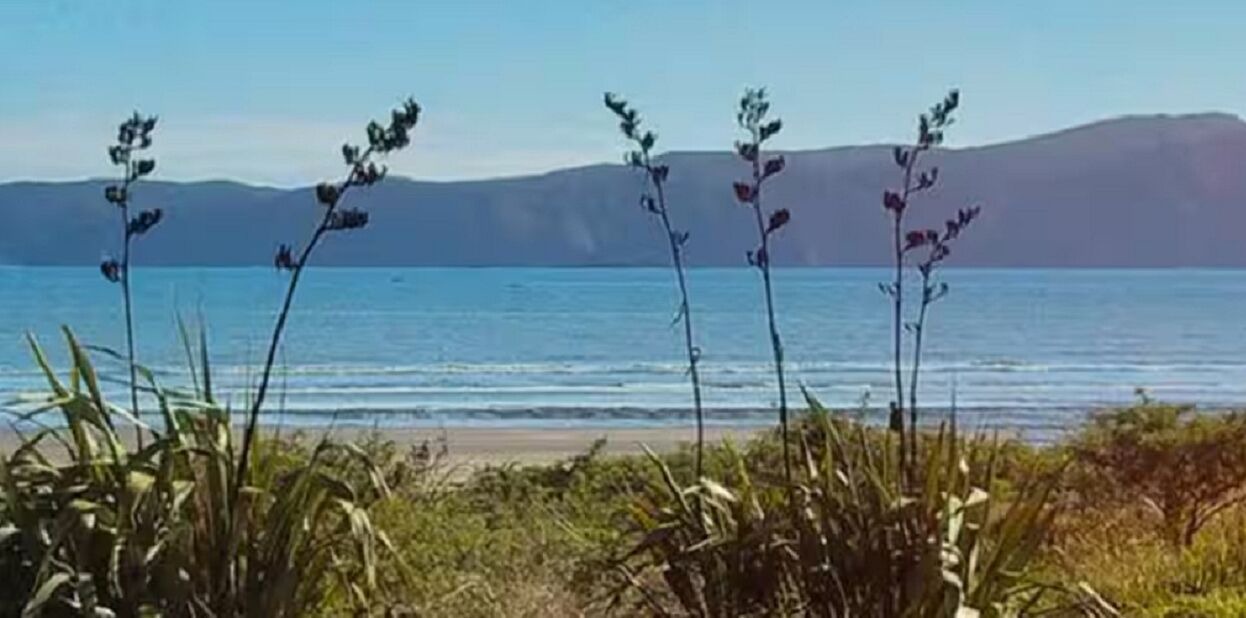 Photo of Others in Paraparaumu Beach