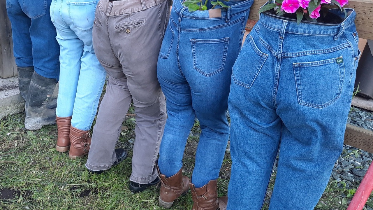 Photo of Others in Sioux Narrows Nestor Falls