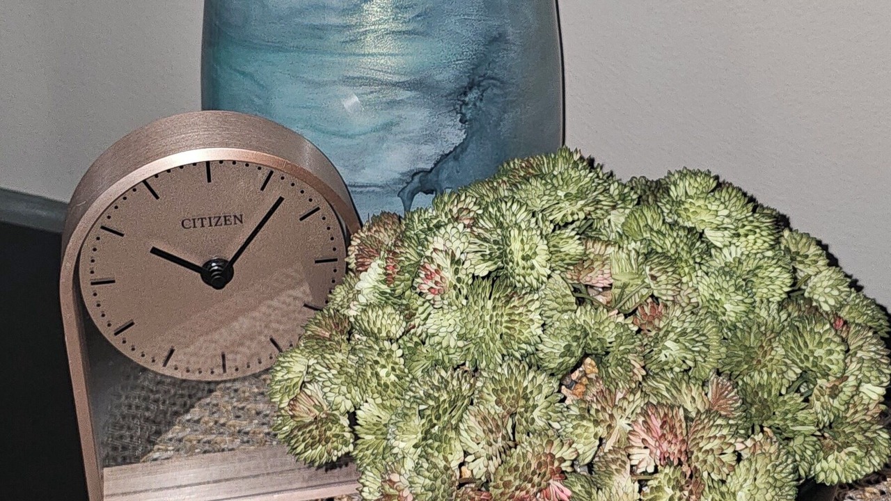 Photo of Others in Madison