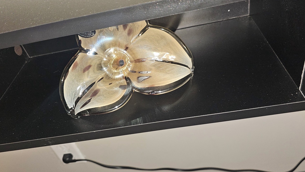 Photo of Others in Madison