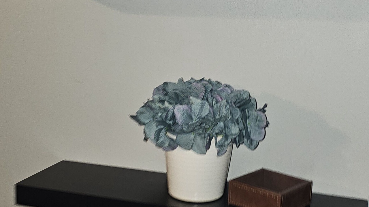 Photo of Others in Madison