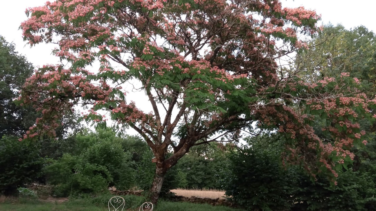 Photo of Others in Miers