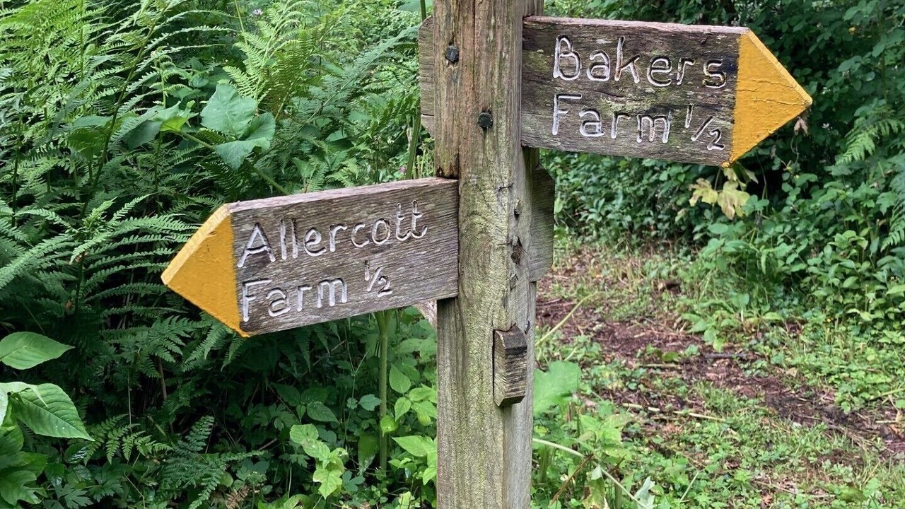 Photo of Outdoor in Minehead