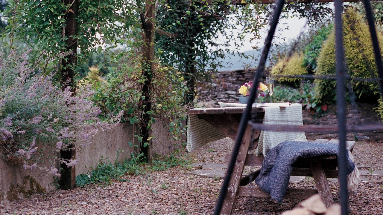 Photo of Outdoor in Minehead