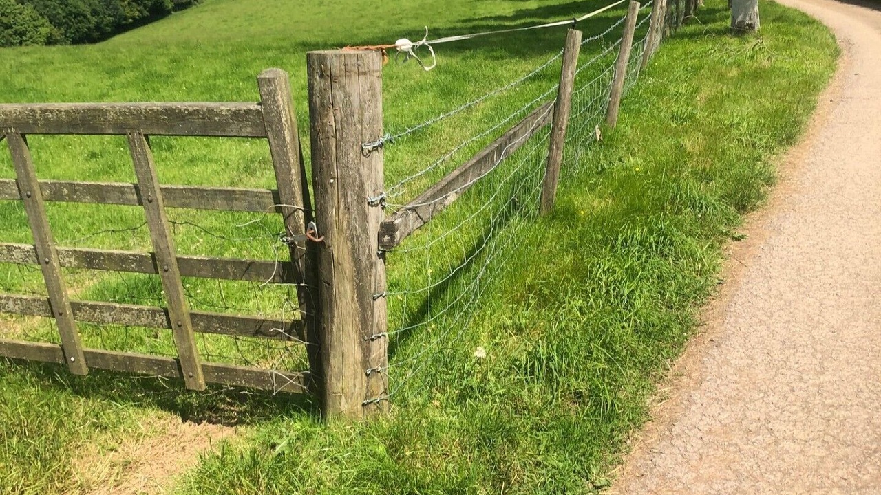 Photo of Outdoor in Minehead