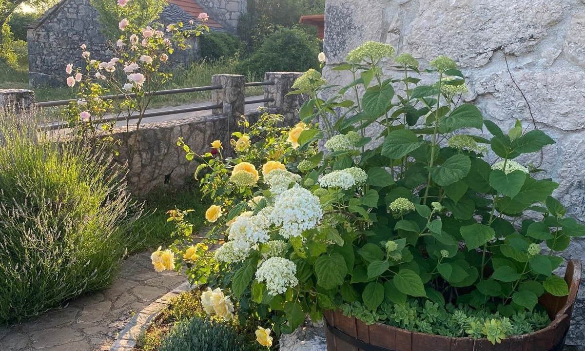 Photo of Outdoor in Unesic