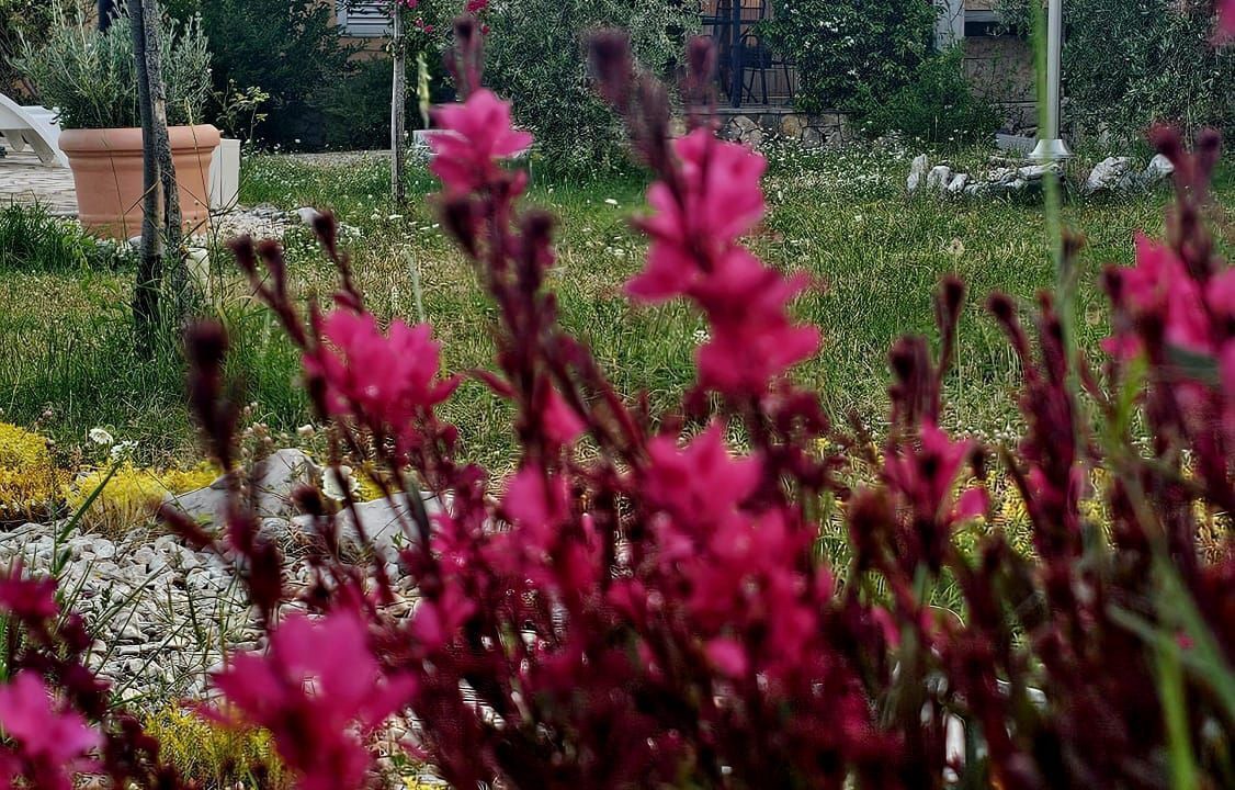 Photo of Outdoor in Unesic