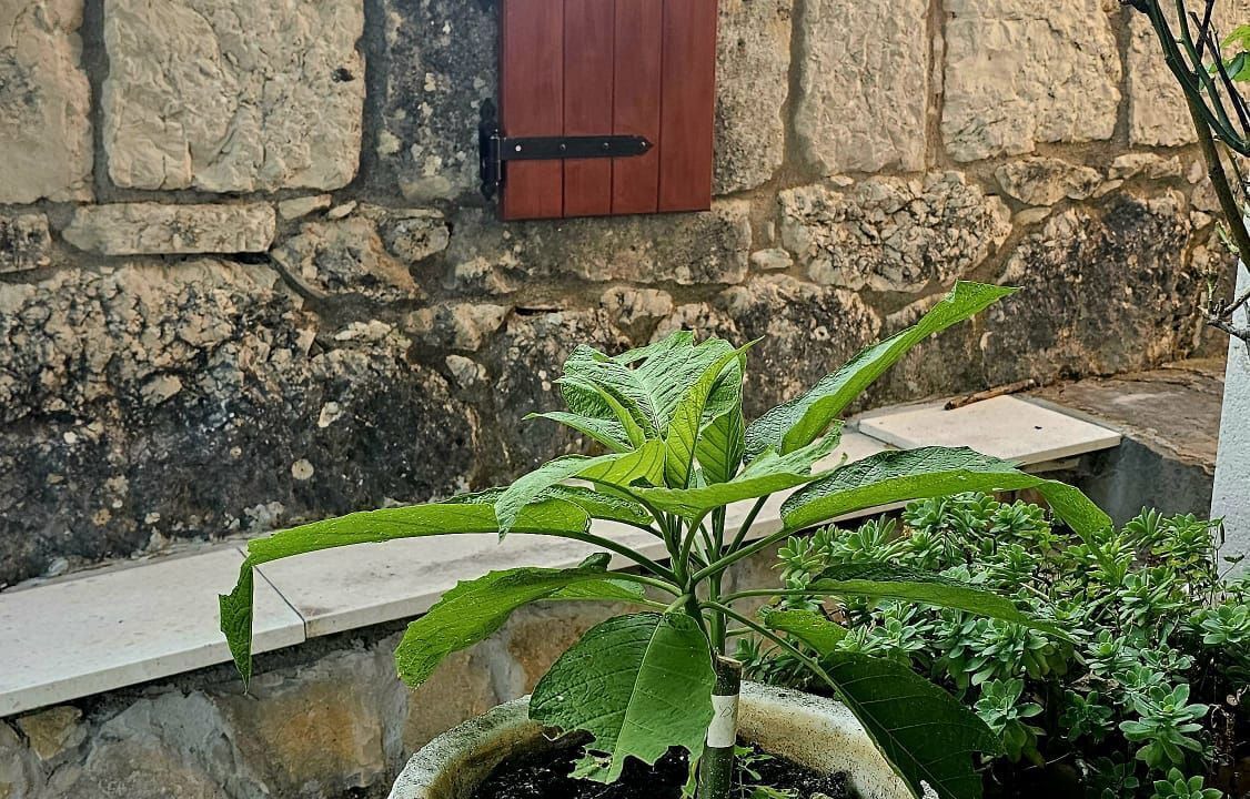 Photo of Outdoor in Unesic