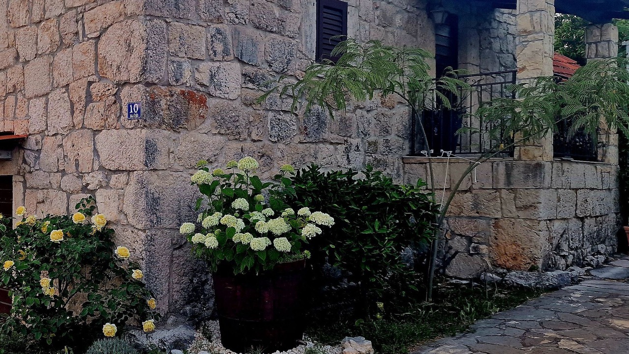 Photo of Outdoor in Unesic