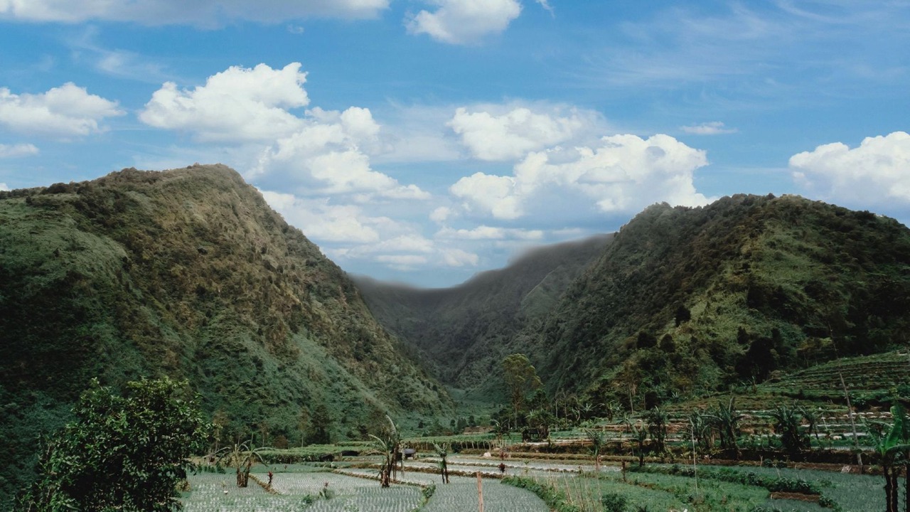 Photo of Others in Kejajar