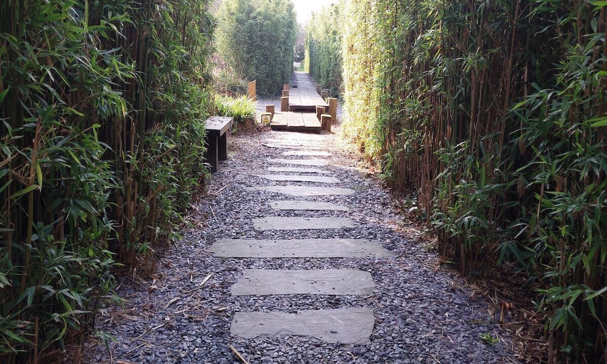 Photo of Outdoor in Park Royal