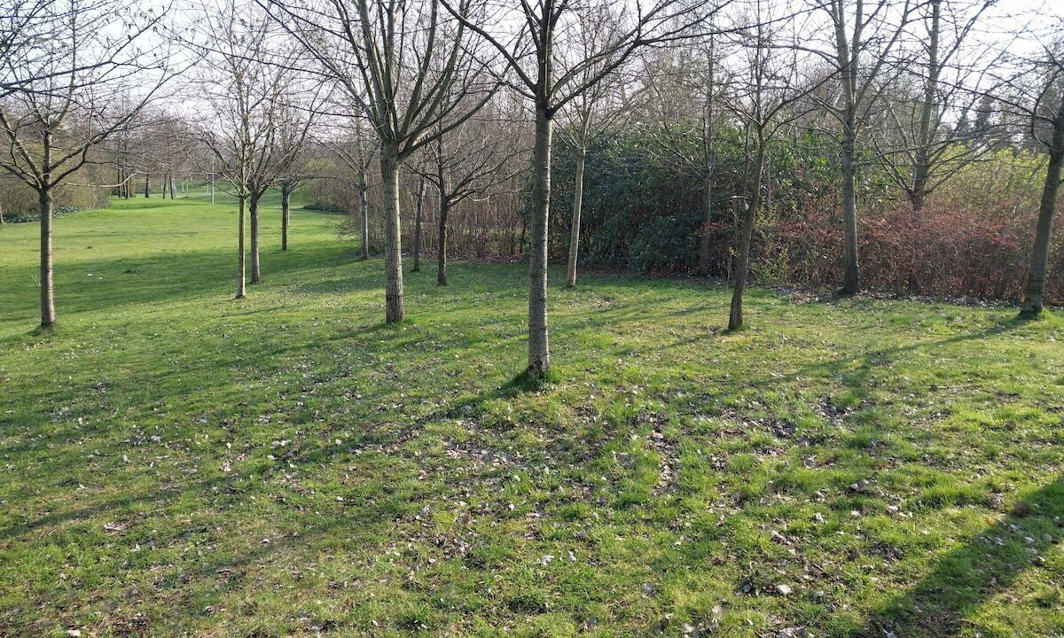 Photo of Others in Park Royal