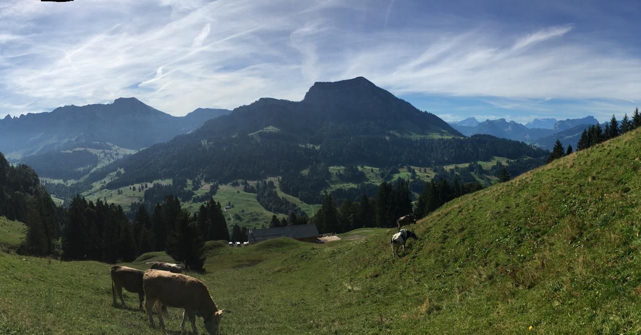 Photo of Others in Ennetbuhl