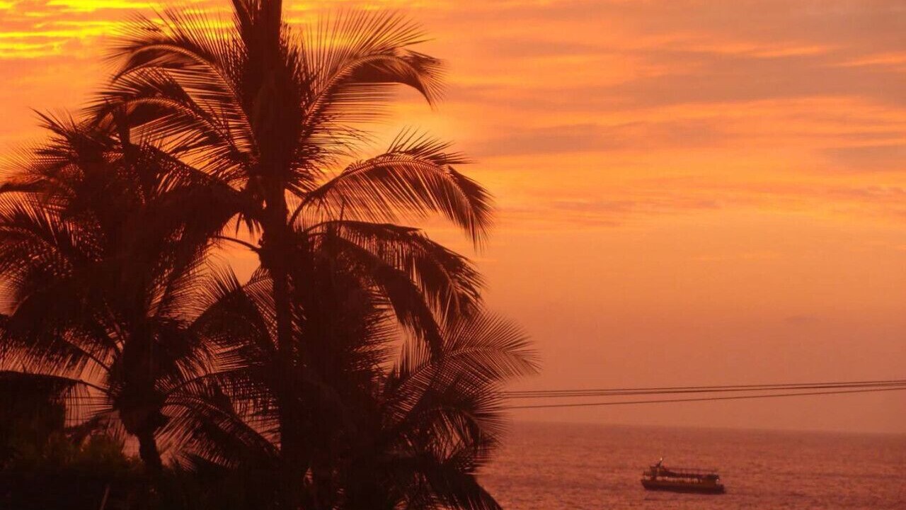 Photo of Others in Kahaluu Bay
